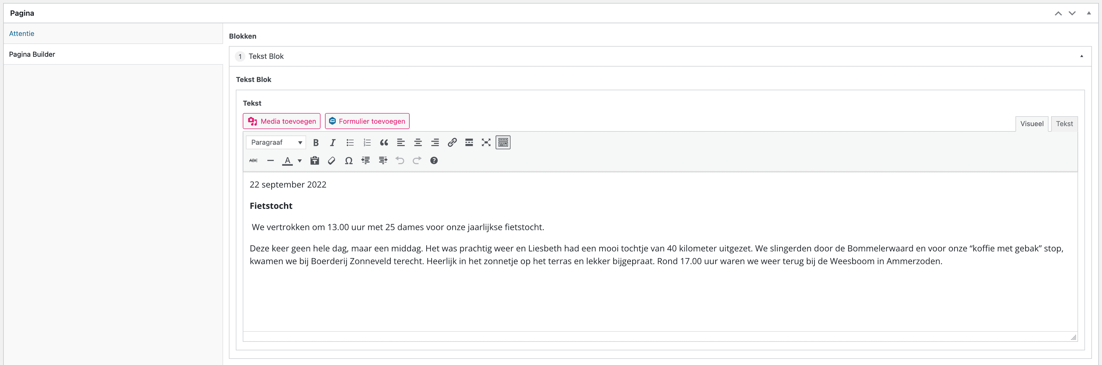 Hoe bewerk ik een pagina?, stap 3