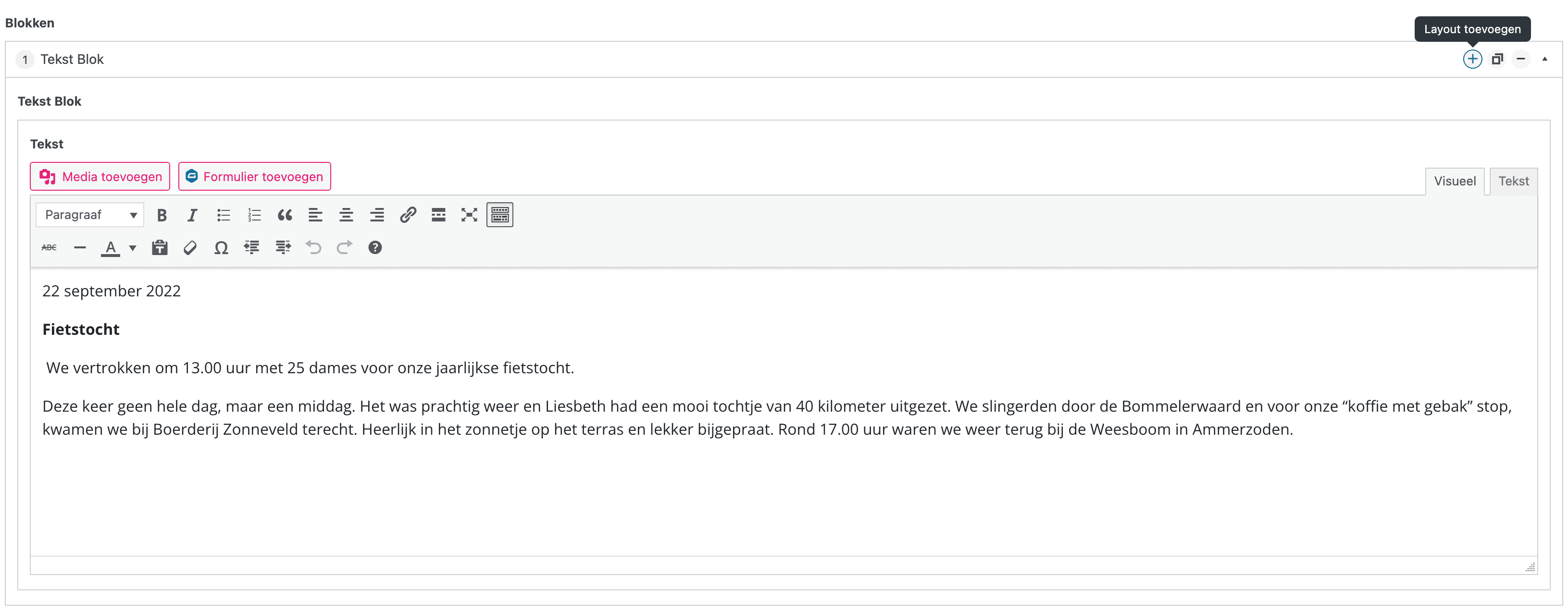Hoe bewerk ik een pagina?, stap 4